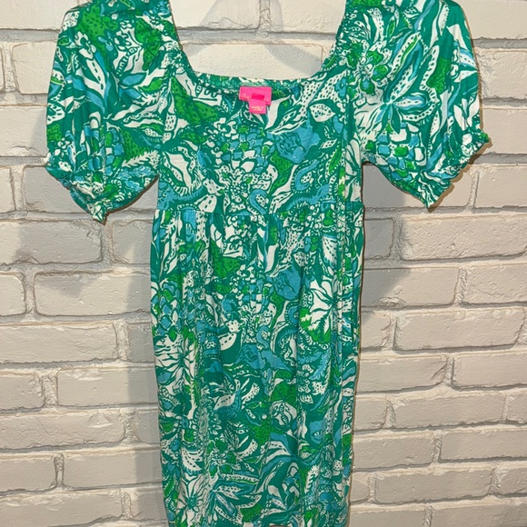 Lilly Pulitzer Other - Lilly Pulitzer size L (10-12) girls dress excellent used condition.